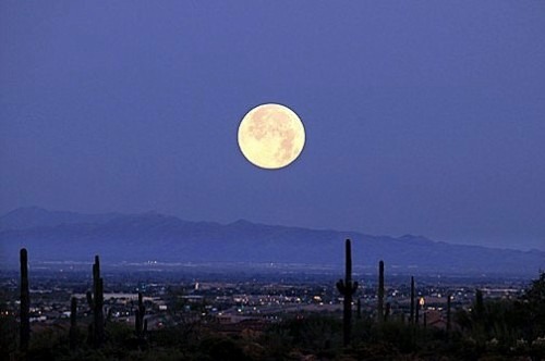 full moon desert