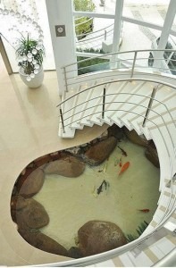 koi pond indoors