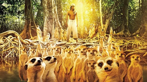 meerkats life of pi