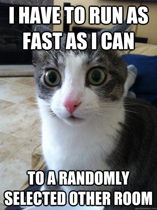 cat running meme