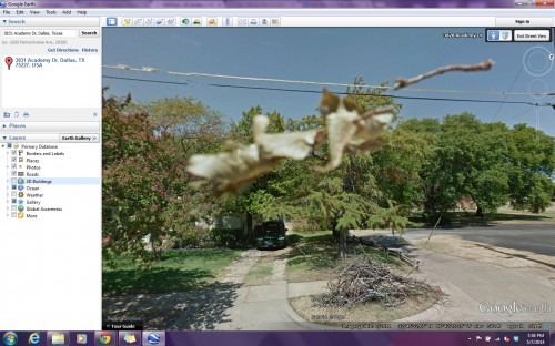 caught on google earth street view german chocolate cake