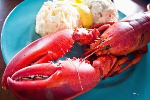 lobster meal