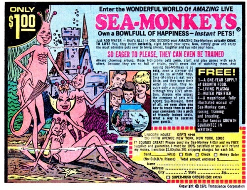 sea monkeys order form artemia salina