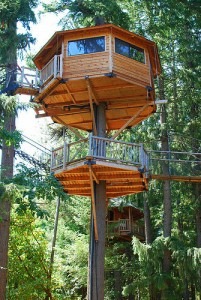 tree house