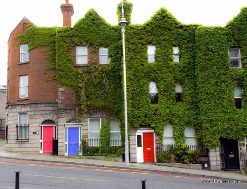 Ivy covered buildings