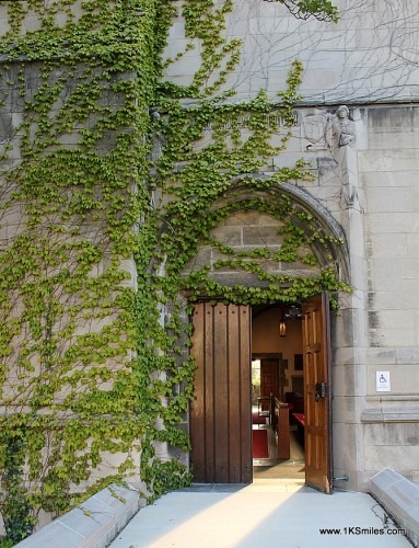 Ivy covered buildings troy swezey