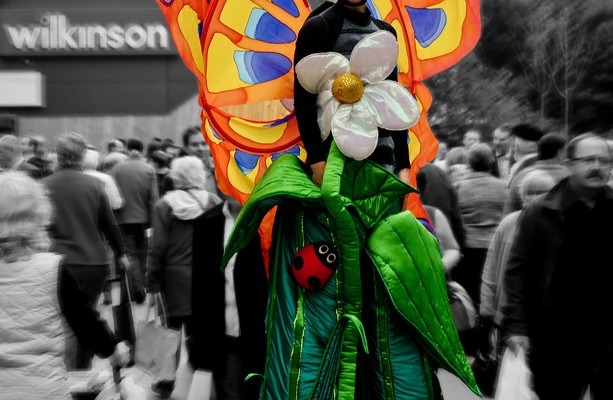 walking on stilts butterfly