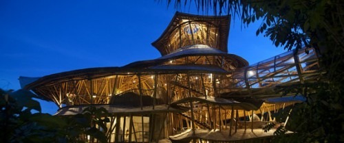 bamboo treehouse tree house bali huffington post