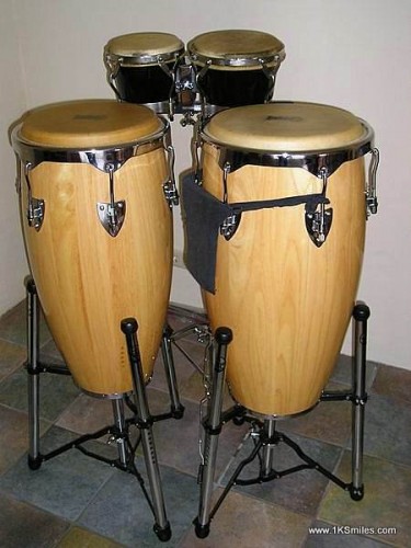 conga drum drums bongos wikipedia
