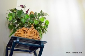 fake plants on shelf