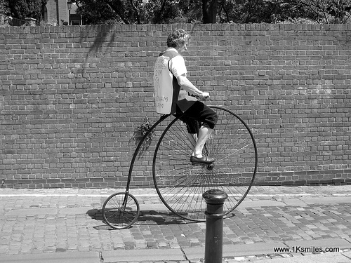 penny farthing wall