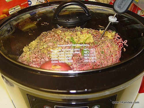 slow cooker probe