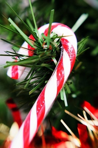 candy cane tree