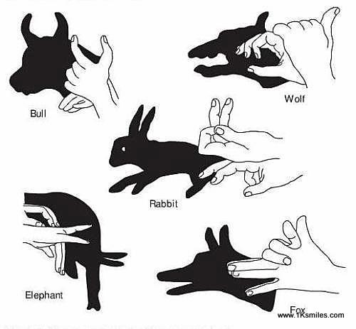 hand shadow puppets examples