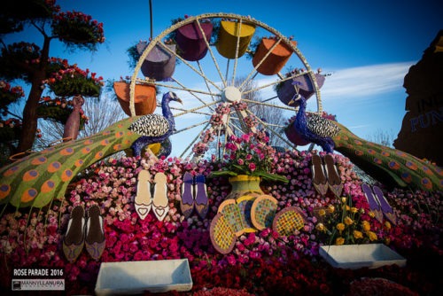 Rose Parade float peacock carousel